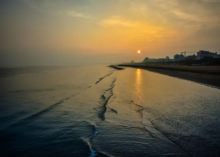 Bright Flat By The Apartment *